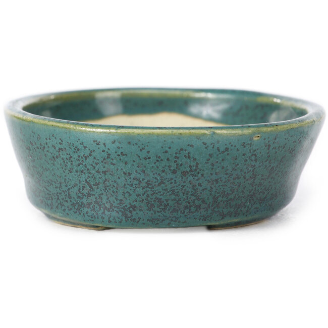 Pot à bonsaï ovale vert par Seto - 95 x 75 x 25 mm