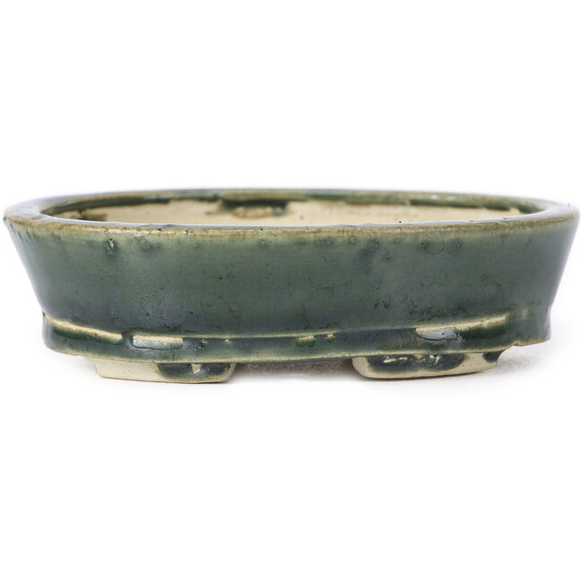 Pot à bonsaï ovale vert par Seto - 100 x 80 x 25 mm