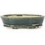 Pot à bonsaï ovale vert par Seto - 100 x 80 x 25 mm