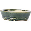 Pot à bonsaï ovale vert par Seto - 100 x 80 x 25 mm