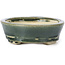 Pot à bonsaï ovale vert par Seto - 100 x 80 x 25 mm