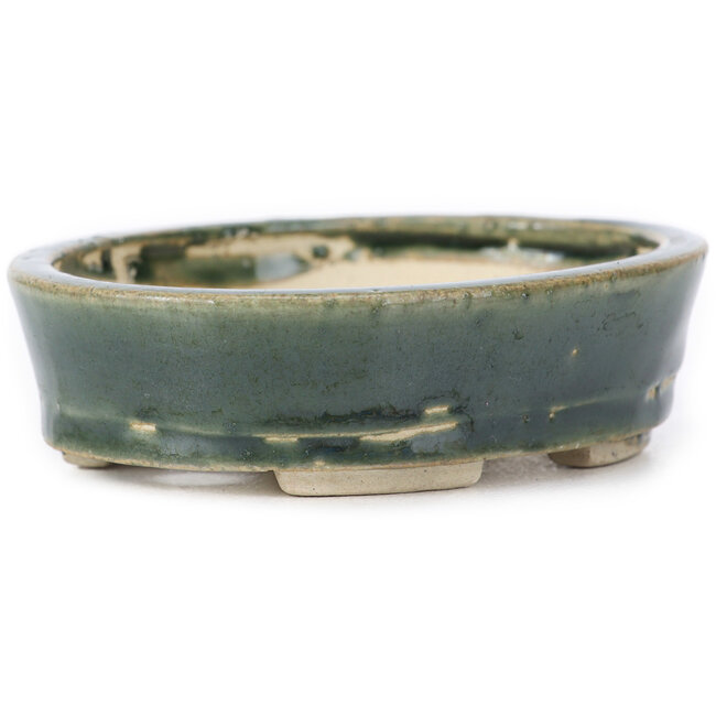 Ovale groene bonsaipot van Seto - 100 x 80 x 25 mm