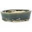 Oval green bonsai pot by Seto - 100 x 80 x 25 mm