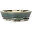 Pot à bonsaï ovale vert par Seto - 100 x 80 x 25 mm