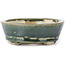 Pot à bonsaï ovale vert par Seto - 100 x 80 x 25 mm