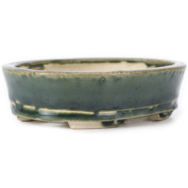 Maceta de bonsái verde ovalada de Seto - 100 x 80 x 25 mm
