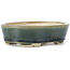 Vaso bonsai ovale verde di Seto - 100 x 80 x 25 mm