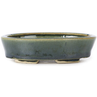 Seto Pot à bonsaï vert ovale 100 mm par Seto, Japon