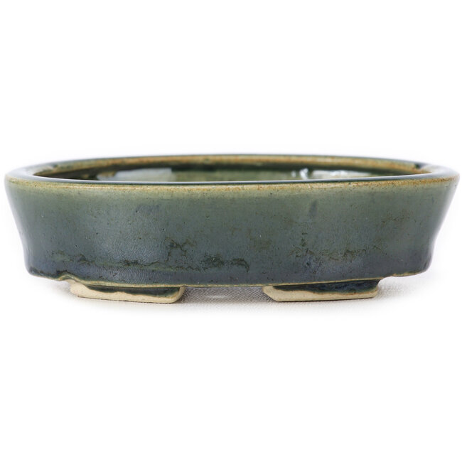 Pot à bonsaï ovale vert par Seto - 100 x 80 x 25 mm