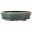 Pot à bonsaï ovale vert par Seto - 100 x 80 x 25 mm