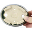 Pot à bonsaï ovale vert par Seto - 100 x 80 x 25 mm