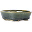 Pot à bonsaï ovale vert par Seto - 100 x 80 x 25 mm