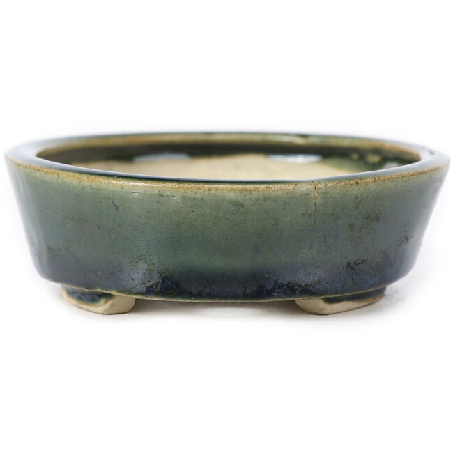 Ovale groene bonsaipot van Seto - 100 x 80 x 25 mm