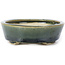 Pot à bonsaï ovale vert par Seto - 100 x 80 x 25 mm