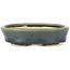 Pot à bonsaï ovale vert par Seto - 100 x 80 x 25 mm