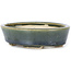 Pot à bonsaï ovale vert par Seto - 100 x 80 x 25 mm