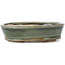 Pot à bonsaï ovale vert par Seto - 100 x 80 x 25 mm