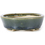 Oval green bonsai pot by Seto - 100 x 80 x 25 mm