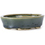 Pot à bonsaï ovale vert par Seto - 100 x 80 x 25 mm