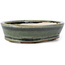 Pot à bonsaï ovale vert par Seto - 100 x 80 x 25 mm
