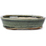 Pot à bonsaï ovale vert par Seto - 100 x 80 x 25 mm