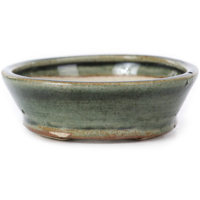 Maceta de bonsái verde ovalada de Seto - 100 x 80 x 25 mm