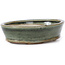 Pot à bonsaï ovale vert par Seto - 100 x 80 x 25 mm