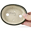 Pot à bonsaï ovale vert par Seto - 100 x 80 x 25 mm