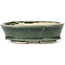 Oval green bonsai pot by Seto - 100 x 80 x 25 mm