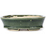 Vaso bonsai ovale verde di Seto - 100 x 80 x 25 mm