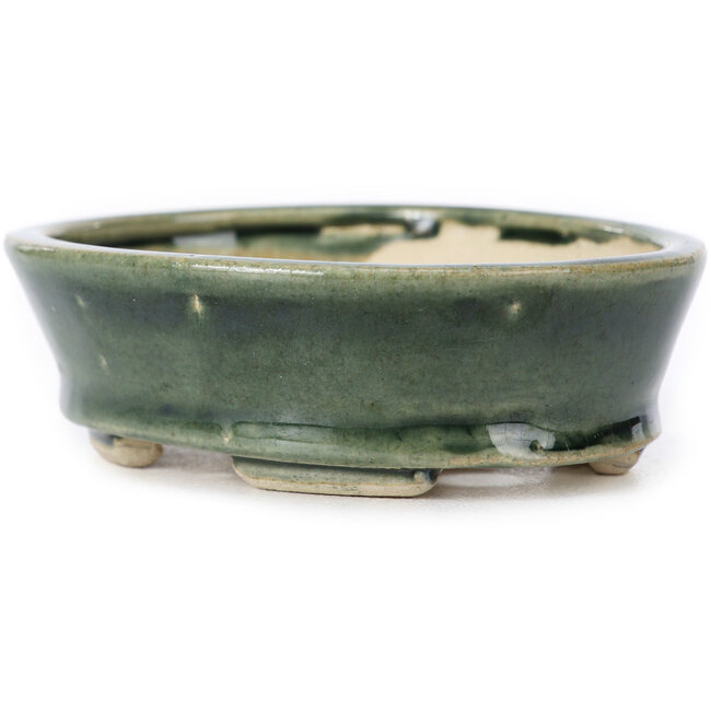 Maceta de bonsái verde ovalada de Seto - 100 x 80 x 25 mm