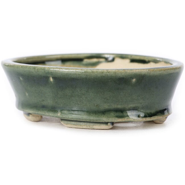 Ovale groene bonsaipot van Seto - 100 x 80 x 25 mm