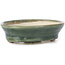 Maceta de bonsái verde ovalada de Seto - 100 x 80 x 25 mm