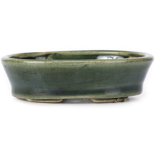 Pot à bonsaï ovale vert par Seto - 90 x 70 x 25 mm