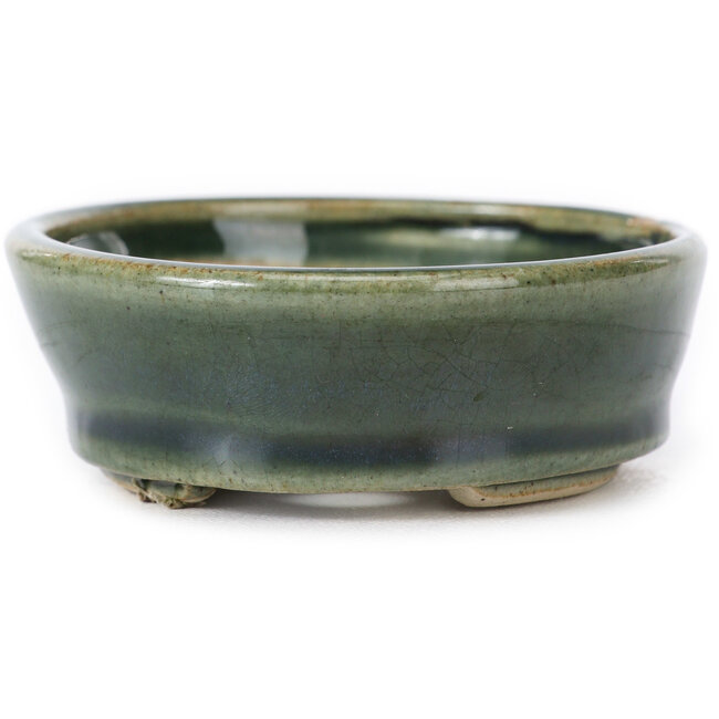 Pot à bonsaï ovale vert par Seto - 90 x 70 x 25 mm