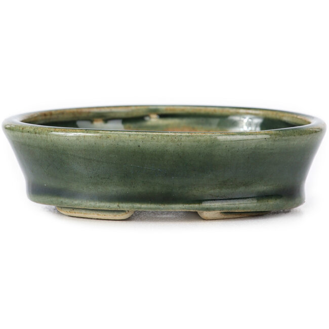 Vaso bonsai ovale verde di Seto - 90 x 70 x 25 mm