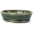 Ovale groene bonsai pot van Seto - 90 x 70 x 25 mm