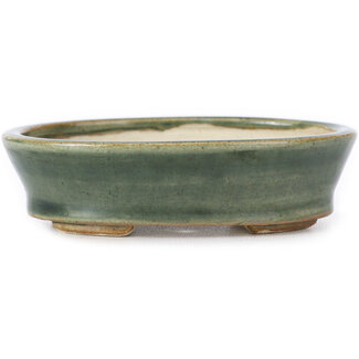 Seto Pot à bonsaï vert ovale 95 mm par Seto, Japon