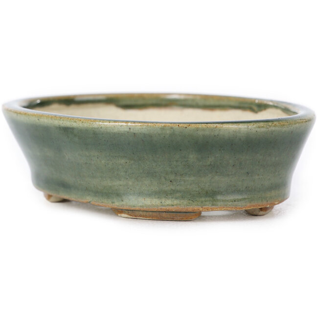 Maceta de bonsái verde ovalada de Seto - 95 x 75 x 25 mm
