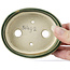Pot à bonsaï ovale vert par Seto - 90 x 70 x 25 mm