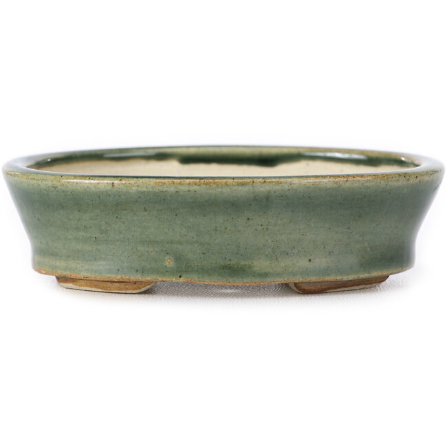 Pot à bonsaï ovale vert par Seto - 95 x 75 x 25 mm