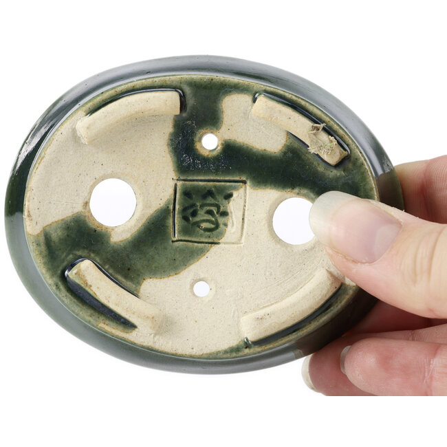 Pot à bonsaï ovale vert par Seto - 90 x 70 x 25 mm