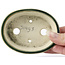 Ovale grüne Bonsaischale von Seto - 95 x 75 x 25 mm