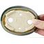Pot à bonsaï ovale vert par Seto - 95 x 75 x 25 mm