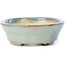 Pot à bonsaï ovale bleu par Seto - 100 x 80 x 25 mm