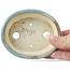 Pot à bonsaï ovale bleu par Seto - 100 x 80 x 25 mm