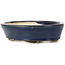 Oval blue bonsai pot by Seto - 105 x 95 x 25 mm