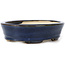 Ovale blauwe bonsaipot van Seto - 105 x 95 x 25 mm