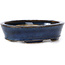 Oval blue bonsai pot by Seto - 105 x 95 x 25 mm