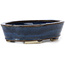 Maceta de bonsái azul ovalada de Seto - 105 x 95 x 25 mm